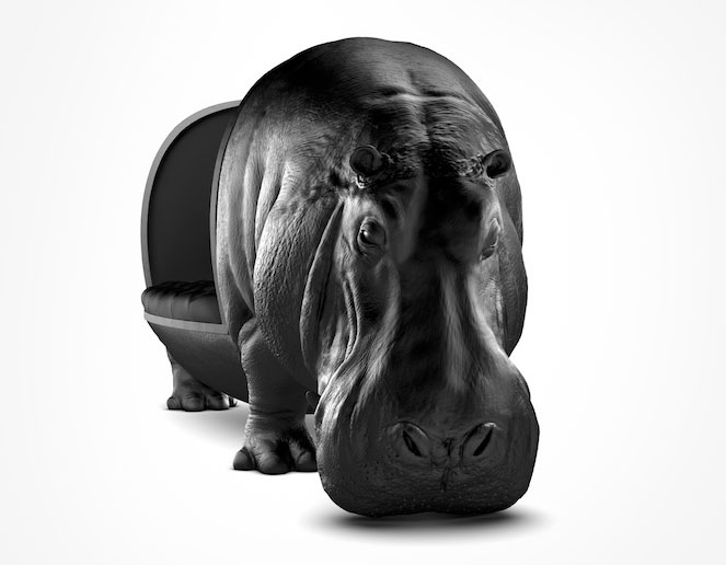 Hippo Chair