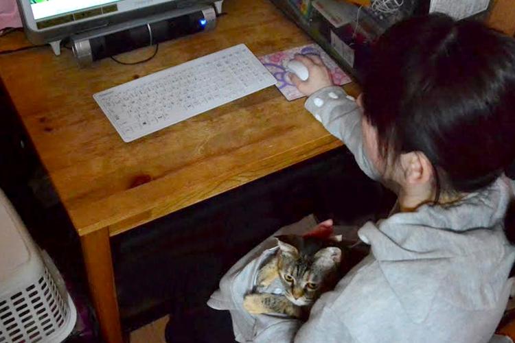 Hoodie Sweatshirt With Giant Front Pocket To Hold Cat