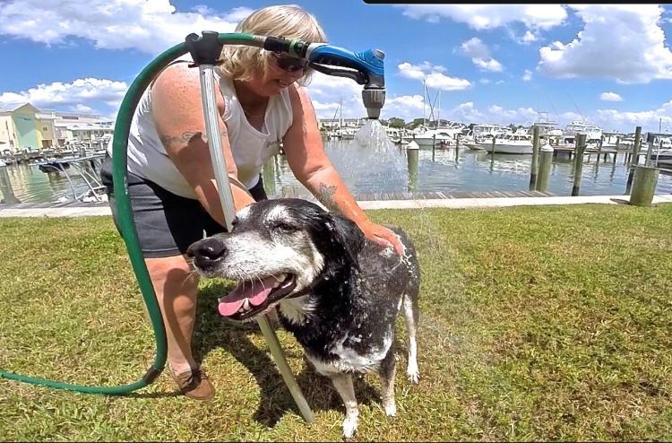 Hose Hooker Holds Your Garden Hose In Place For Washing Your Dog