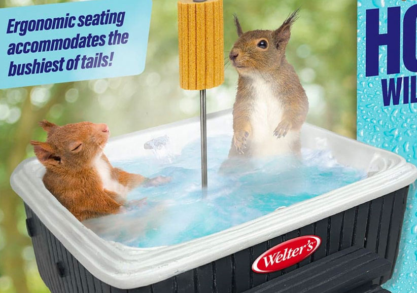 Hot Tub Squirrel Feeder