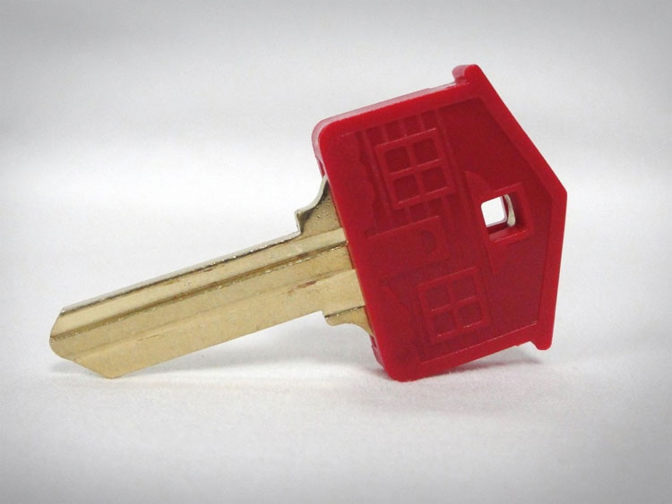 House Shaped House Key
