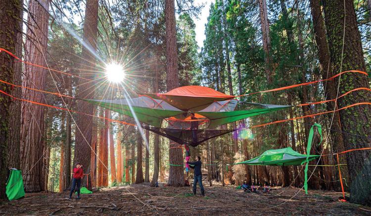 Tentsile Tree Tent - Hammock Tent
