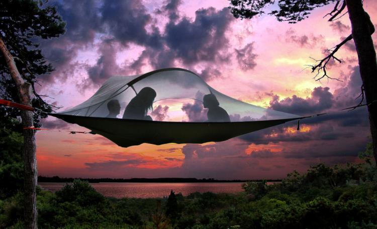 Tentsile Tree Tent - Hammock Tent