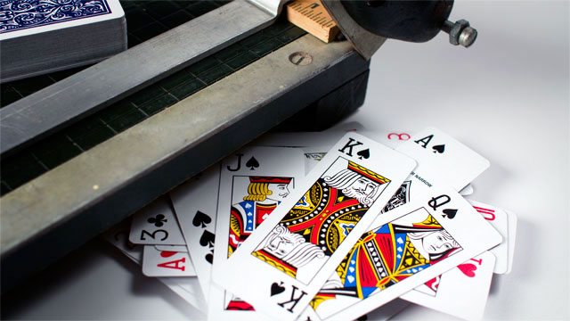 Hoyle Slice Half Deck Skinny Playing Cards