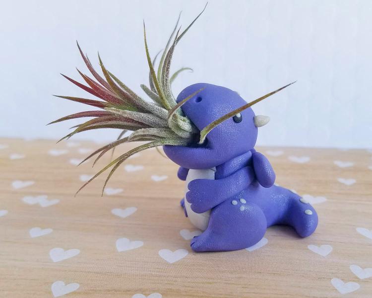 Dragon Air Planter - Cute dragon air plant holder