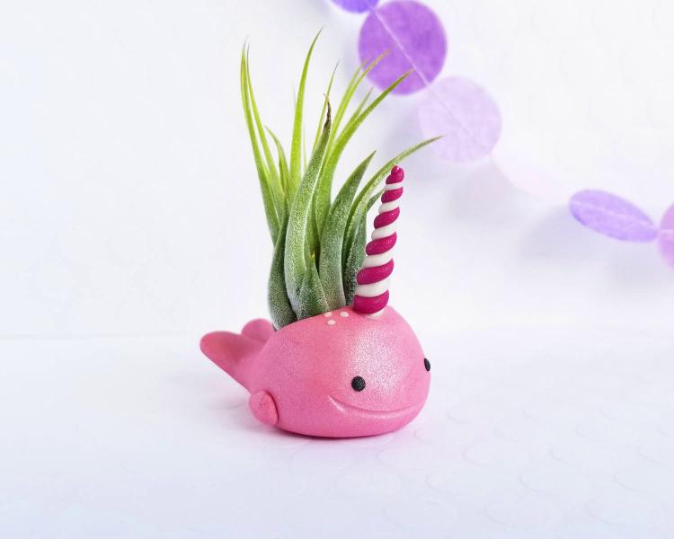 Narwhal Air Planter - Cute narwhal air plant holder