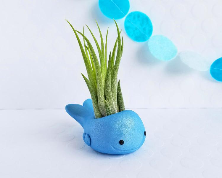 Blue Whale Air Planter - Cute blue whale air plant holder