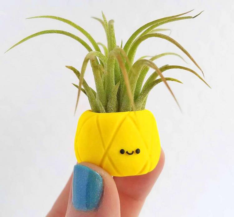 Pineapple Air Planter - Cute pineapple air plant holder