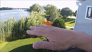 Hummingbird Feeder Rings - Hummer Rings - Flower shaped humming bird feeding ring