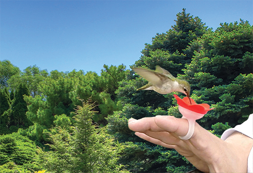 Hummingbird Feeder Rings - Hummer Rings - Flower shaped humming bird feeding ring