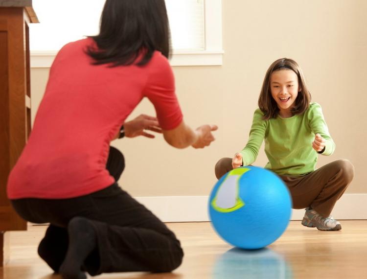 YayLabs Ice Cream Maker Ball - Ice Cream Ball Makes Ice Cream Just By Playing With the ball