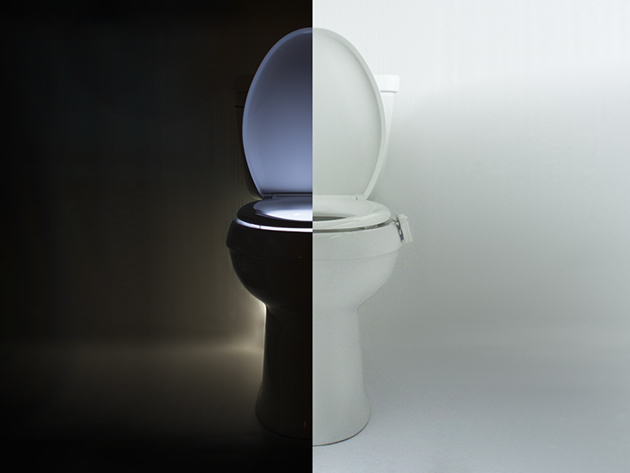 IllumiBowl Toilet Bowl Night Light