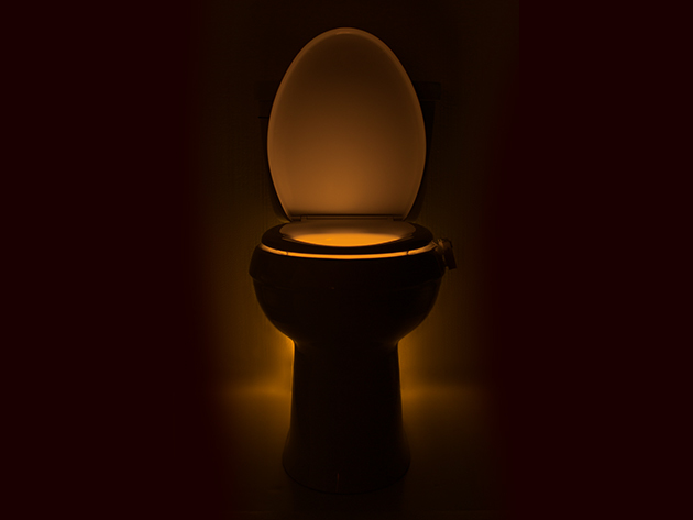 IllumiBowl Toilet Bowl Night Light