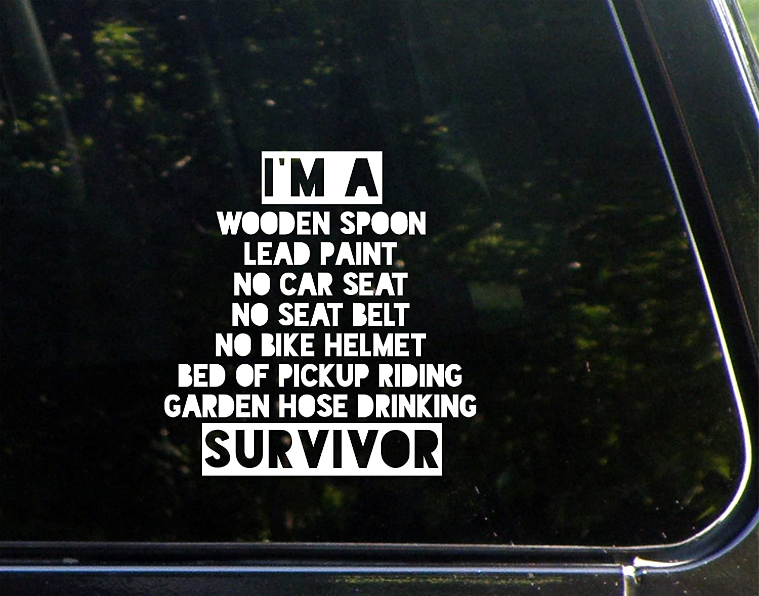 I'm A Wooden Spoon Lead Paint No Car Seat No Helmet Bed Of Truck Garden Hose Drinking Survivor