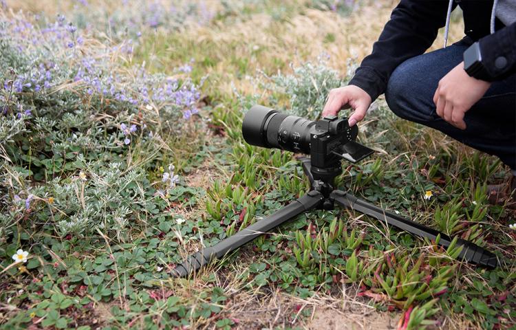 Incredible Travel Tripod Takes Up Half The Space Of Traditional Tripods - Peak Design Best Photography Travel Tripod