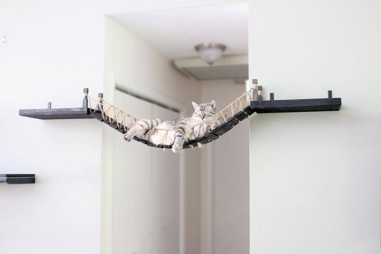 Indiana Jones Cat Bridge - Hanging Wooden Rope Bridge Cat Playground