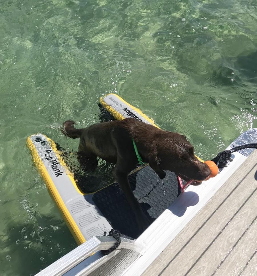 Inflatable Dog Ramp For Dock, Boat, or Pool - Floating Pup Ramp