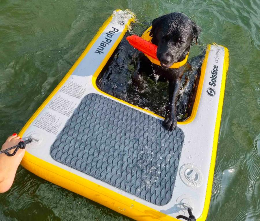 Inflatable Dog Ramp For Dock, Boat, or Pool - Floating Pup Ramp