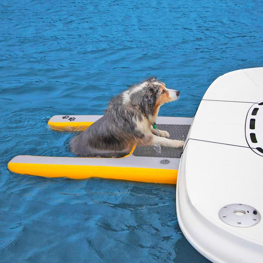 Inflatable Dog Ramp For Dock, Boat, or Pool - Floating Pup Ramp
