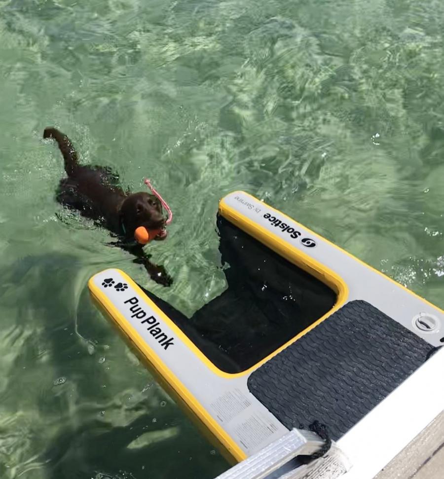 Inflatable Dog Ramp For Dock, Boat, or Pool - Floating Pup Ramp