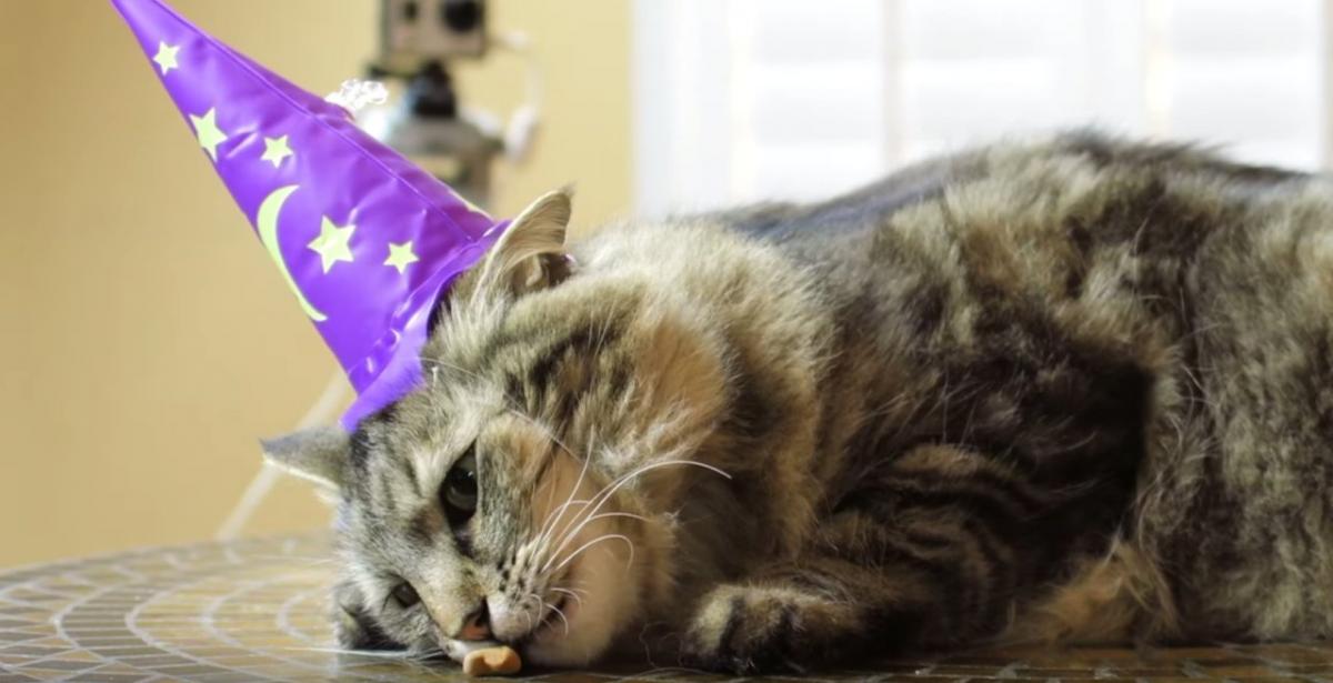 Inflatable Wizard Hat For Your Cat