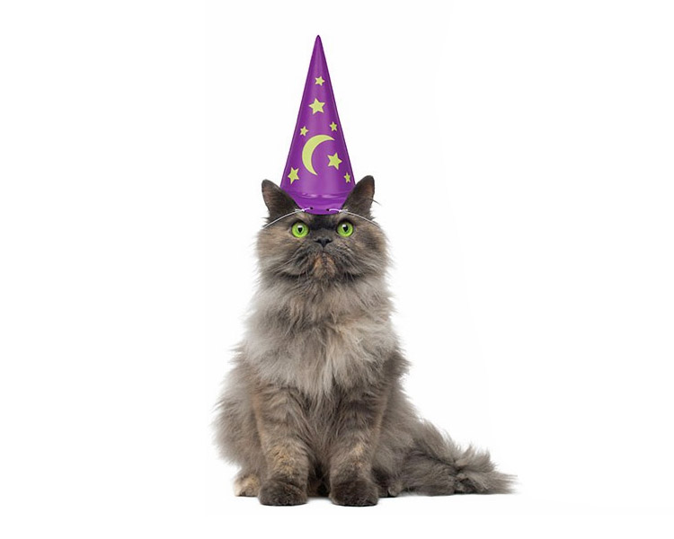 Inflatable Wizard Hat For Your Cat