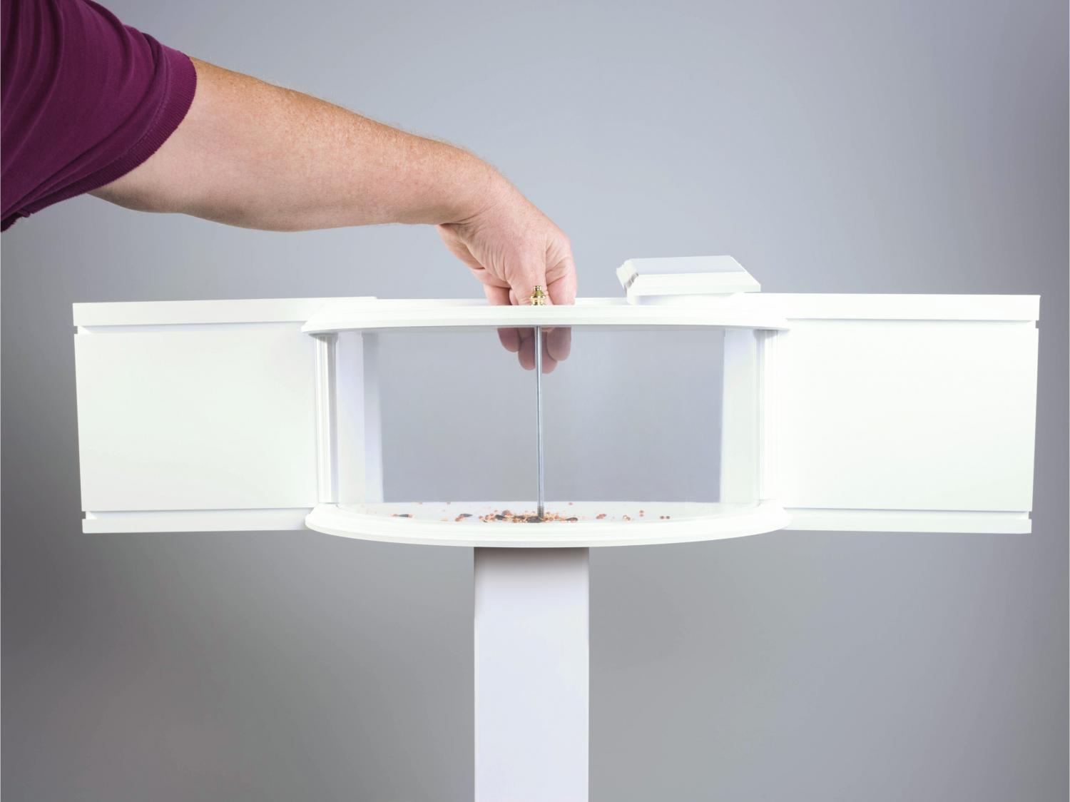 Indoor bird feeder and window mounted indoor bird viewer