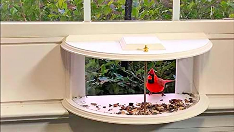 Indoor bird feeder and window mounted indoor bird viewer