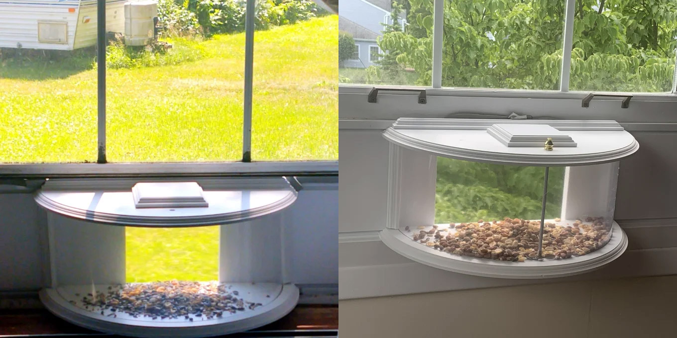 Indoor bird feeder and window mounted indoor bird viewer