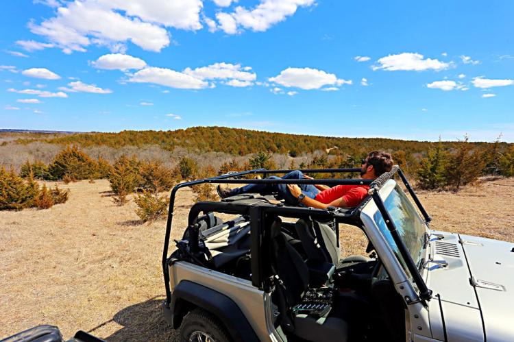 Jammock Jeep Hammock