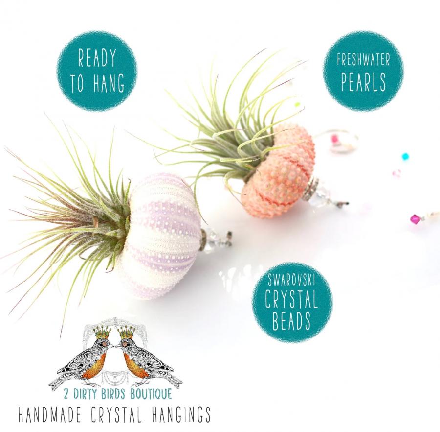 Jellyfish Air Plant Holders