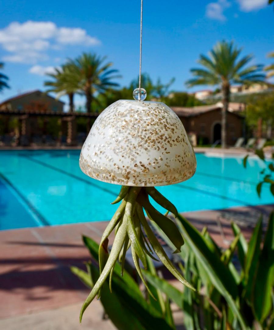 Jellyfish Air Plant Holders