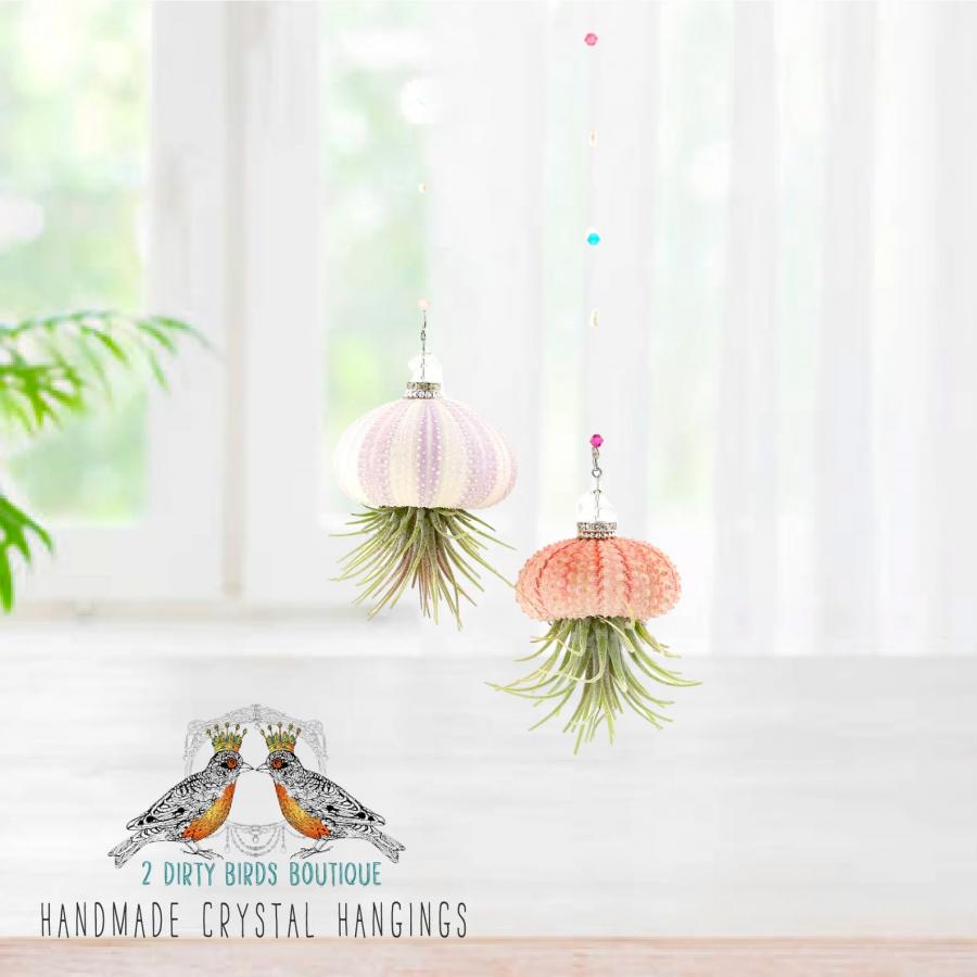 Jellyfish Air Plant Holders