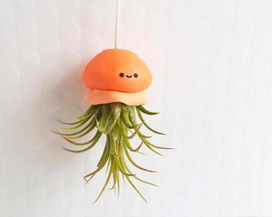 Jellyfish Air Plant Holders