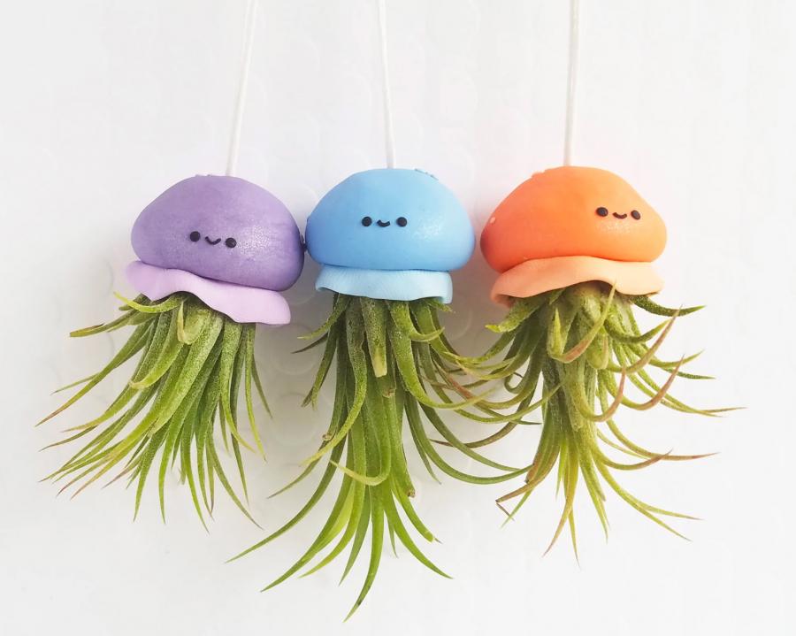 Jellyfish Air Plant Holders