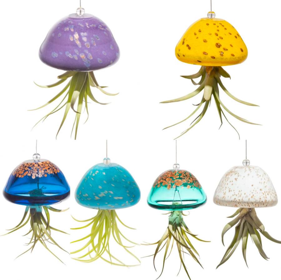 Jellyfish Air Plant Holders