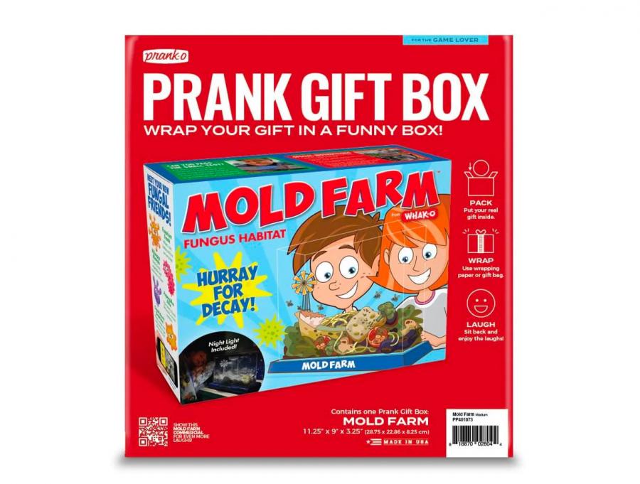 Kids mold farm prank box