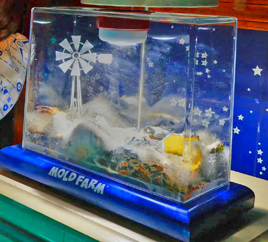 Kids mold farm prank box