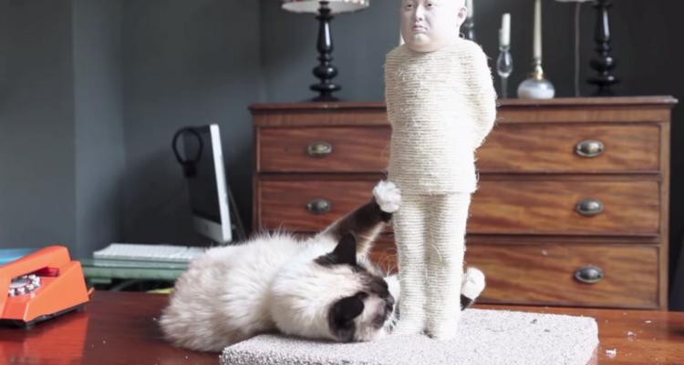 Kim Jong-Un Cat Scratching Post