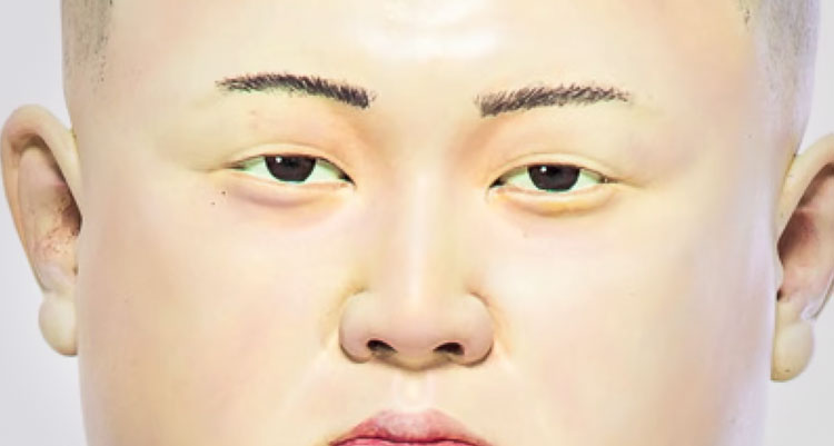 Kim Jong-Un Cat Scratching Post