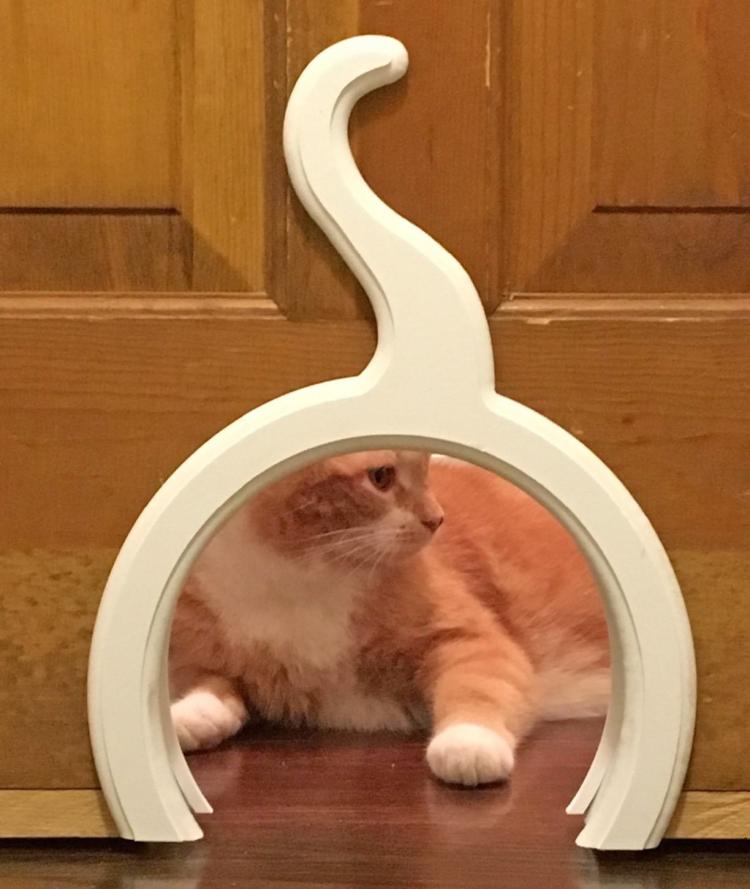 The Kitty Pass - Cat Shaped Kitten Door Pass