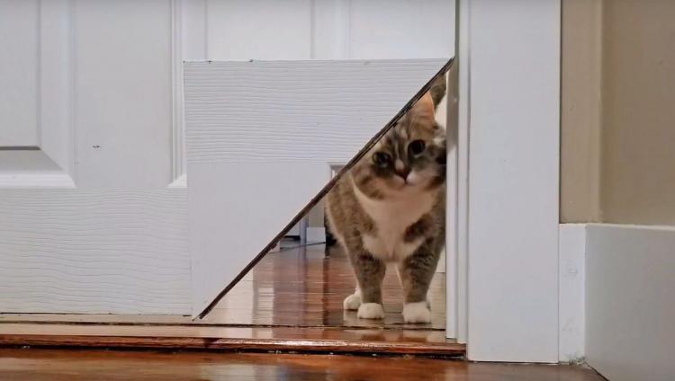 KittyKorner Turns Corner Of Door Into a Cat Pass