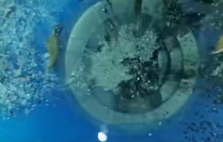 Kreepy Krauly Suctioning Pool Cleaner - Wall Climbing Pool Cleaner Robot