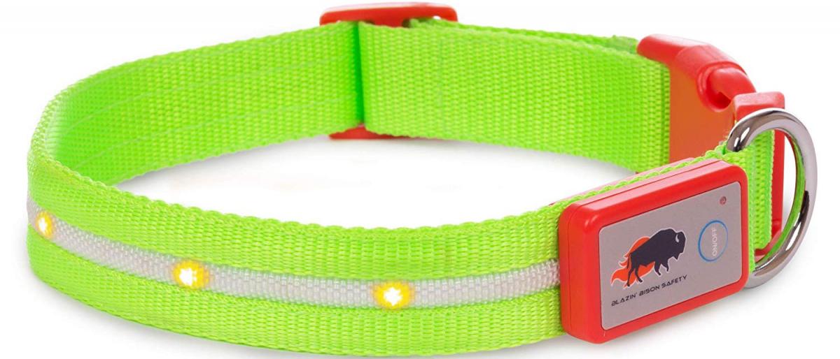 LED Lighted Dog Collar