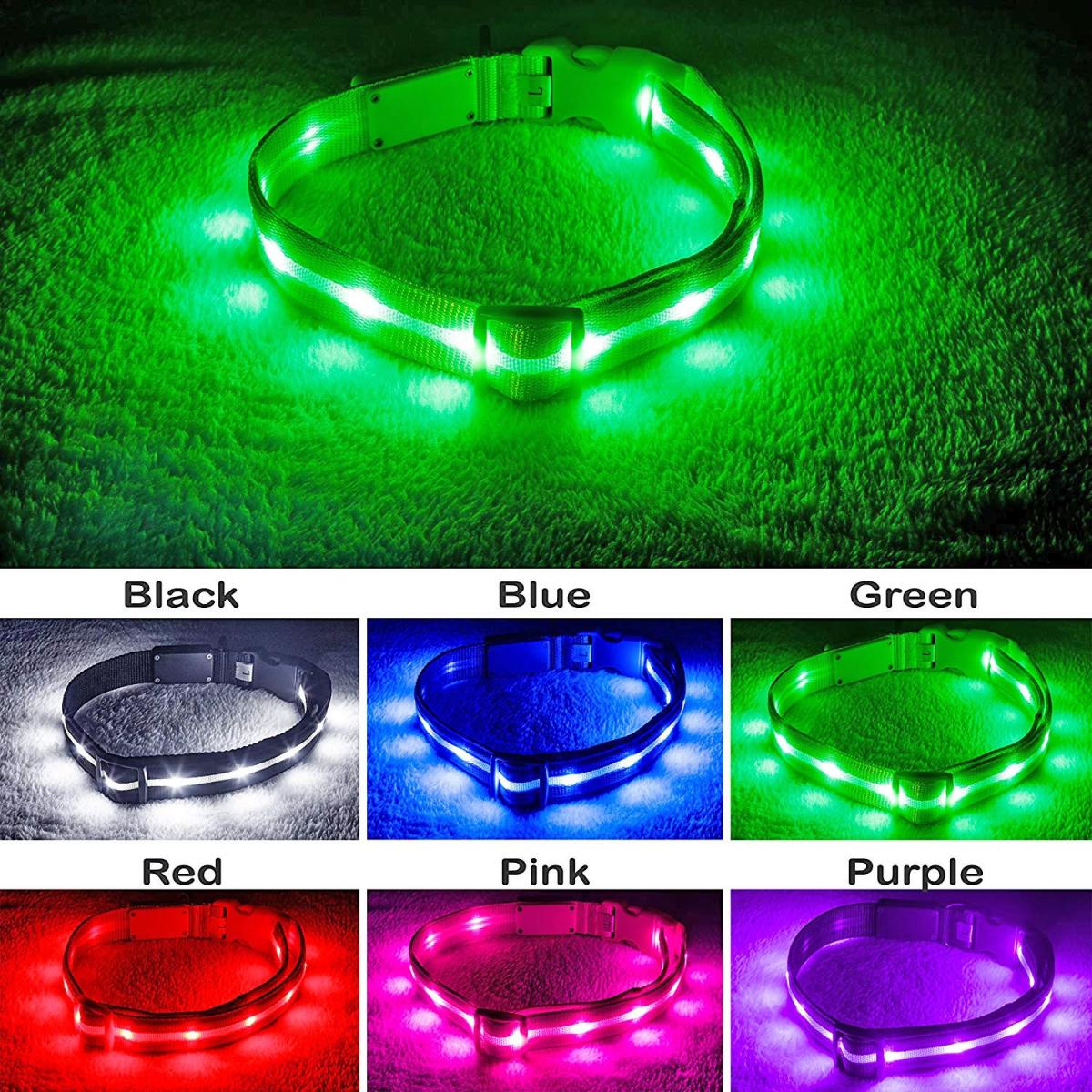 LED Lighted Dog Collar
