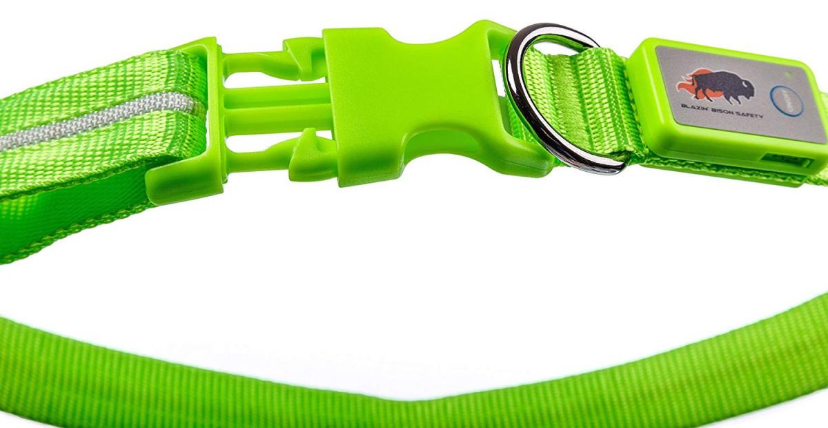 LED Lighted Dog Collar