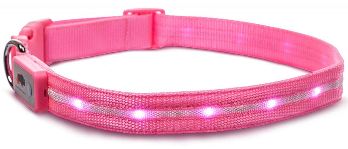 LED Lighted Dog Collar
