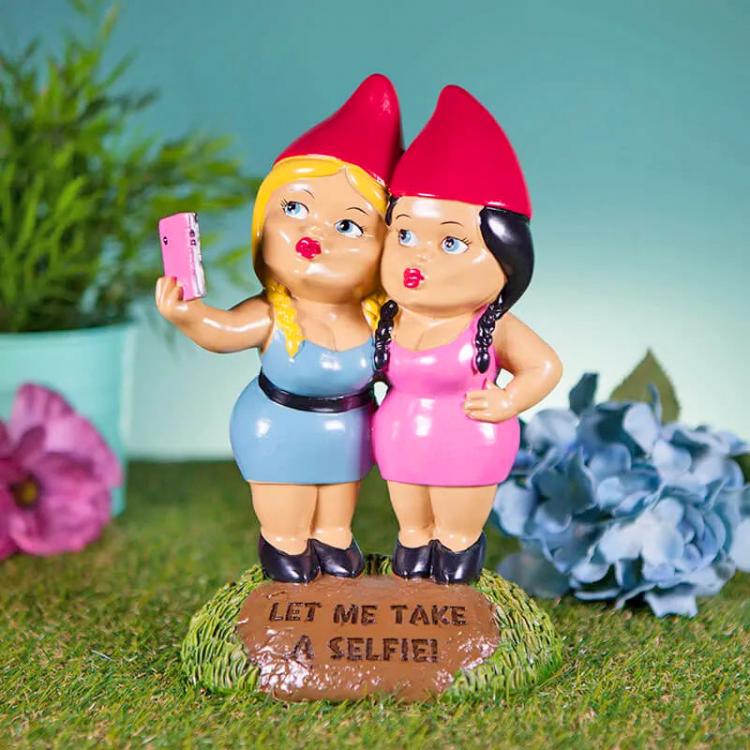 Selfie Gnome