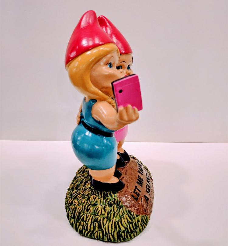 Selfie Gnome