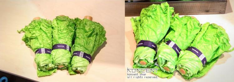 Vegetabrella - Lettuce Umbrella